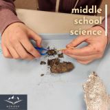 ms science owl pellets - 1