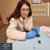 ms science owl pellets - 5