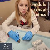 ms science owl pellets - 6