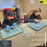 ms science owl pellets - 7